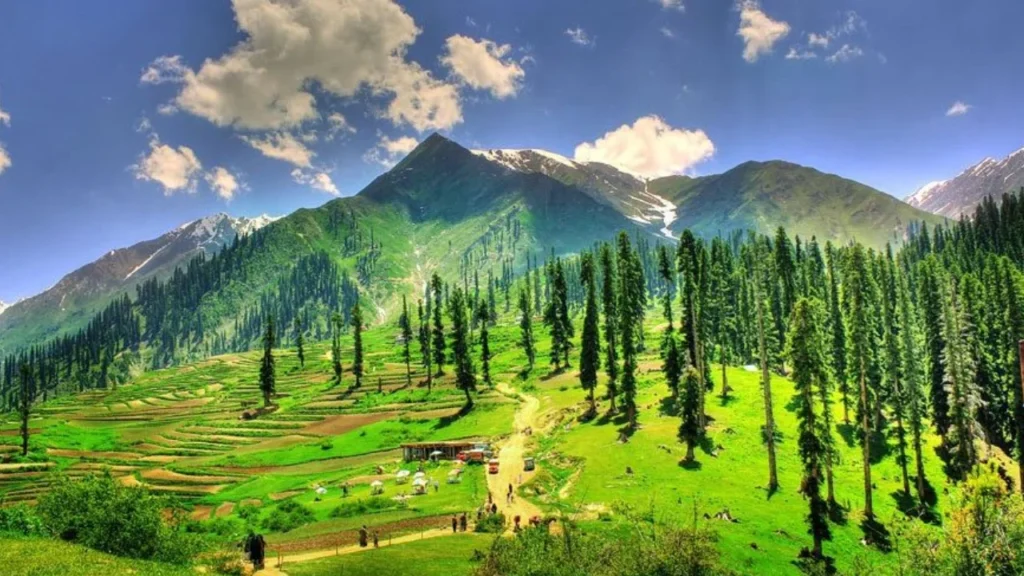 Nawab’s Hotels and Resorts: The Ultimate 2026 Guide to Luxury Naran Kaghan Tours